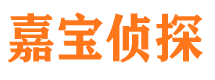 黄龙私家侦探公司